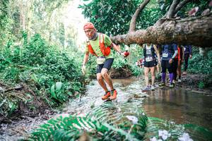 BIB: 
                            <button type="button" onclick="openModal(25477882)" class="btn btn-primary btn-sm float-right btn-popup" data-toggle="modal" data-target=".modal-high-quality">
                        <i class="fas fa-shopping-cart"></i> Add to Cart
                    </button>
                                            <button type="button" onclick="isThisMe(25477882, true)" class="btn btn-success btn-sm float-right btn-popup btn-isme hidden" data-toggle="tooltip" data-placement="bottom" title="นี่คือรูปของคุณใช่ไหม คลิกที่นี่เพื่อเอาเข้าอัลบั้ม">
                        <i class="fas fa-plus"></i> Add to album
                    </button>
                    <button type="button" onclick="isThisMe(25477882, false)" class="btn btn-warning btn-sm float-right btn-popup btn-isnotme hidden">
                        <i class="fas fa-ban"></i> Remove from album
                    </button>